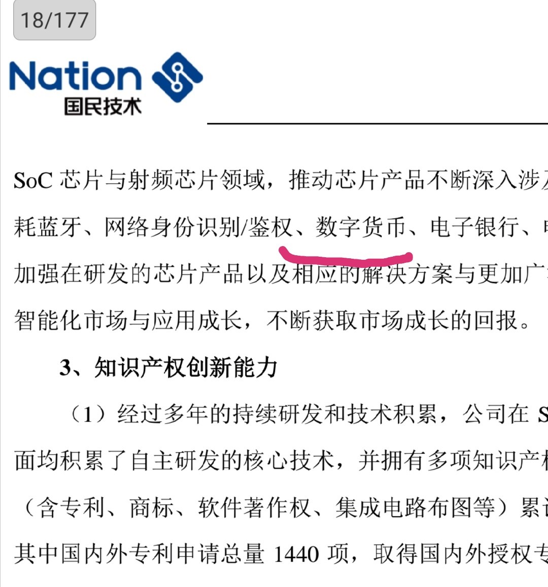 国民技术最新现状概览，技术进展与创新发展