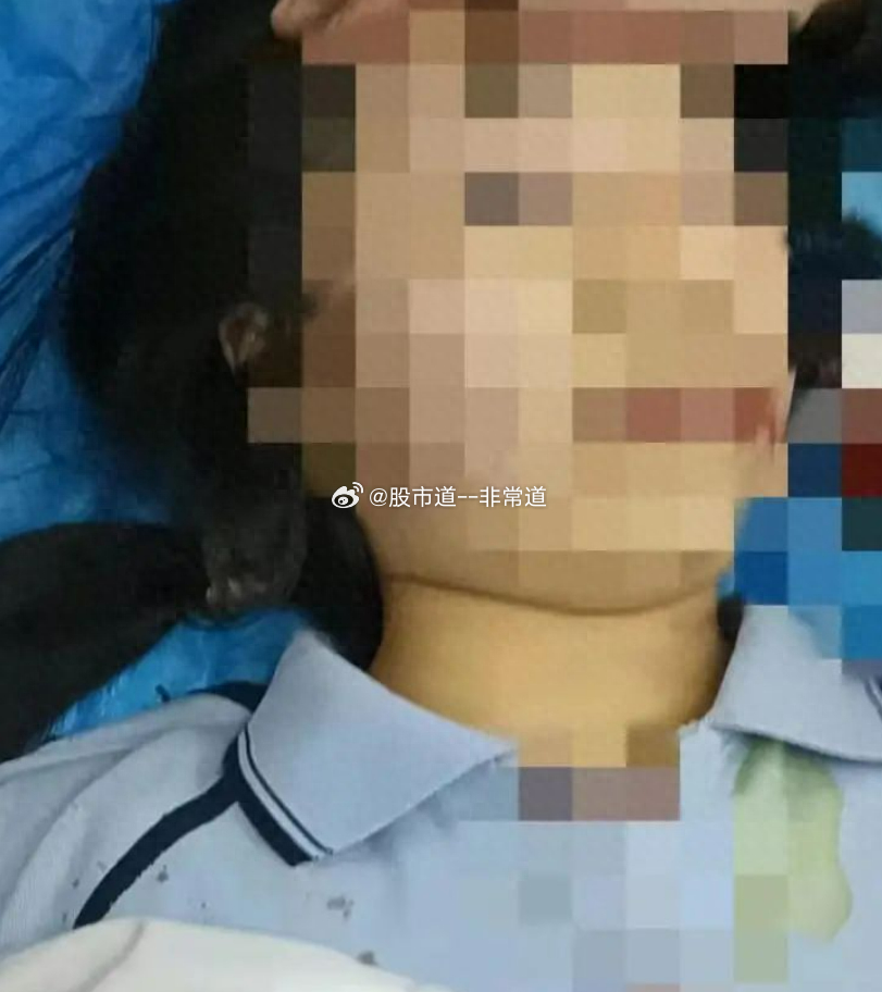 老师打死学生事件的最新进展与应对反思步骤指南