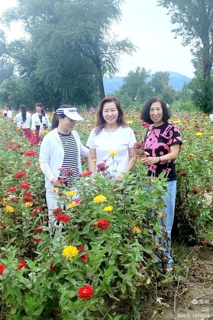 辽阳红美的最新动态或进展更新