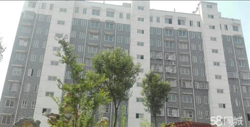 沛县房产网全新升级，科技引领居住新风尚，最新消息一网打尽