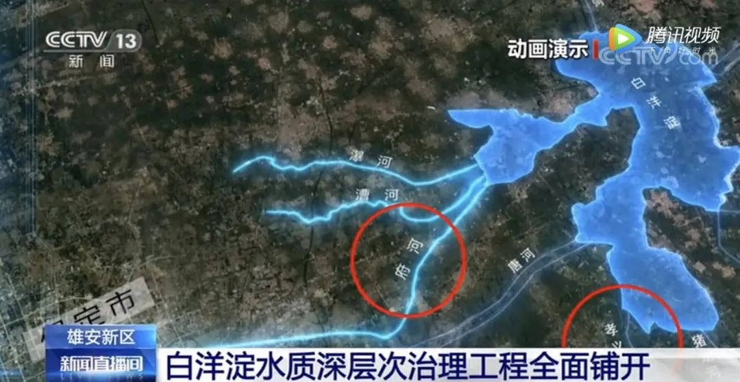 白洋淀治理最新动态，自然美景之旅，探寻内心宁静之地