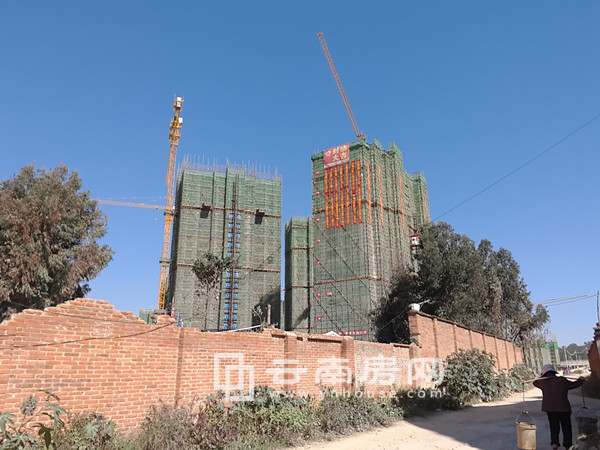 兴冶国际涨价最新动态，自然美景探索之旅启程