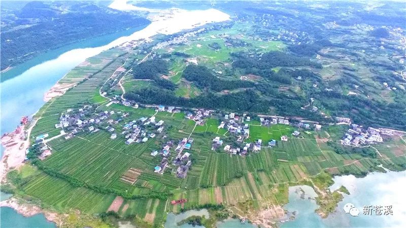 范学臣广元最新动态，新篇章正在谱写