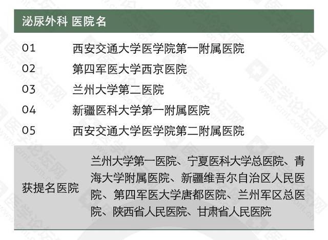全国最新医情下的心灵探索之旅，自然美景与内心平静的追寻