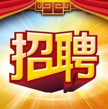 政府最新招聘，时代背景下的新篇章开启
